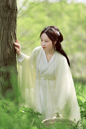 偷偷藏不住电视剧在线观看免费